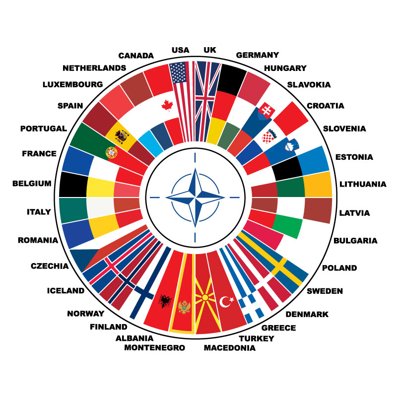 NATO Member Countries Flags Circular Infographic Vector Design